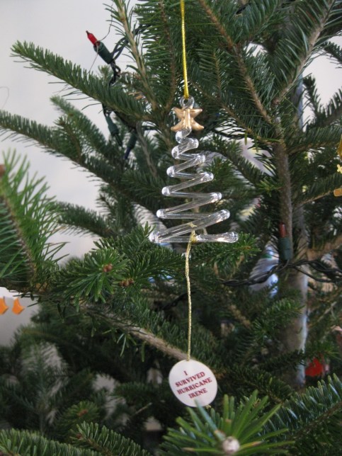 Hurricane Irene Tree