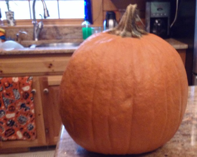 Photo credit: Jerri Higgins