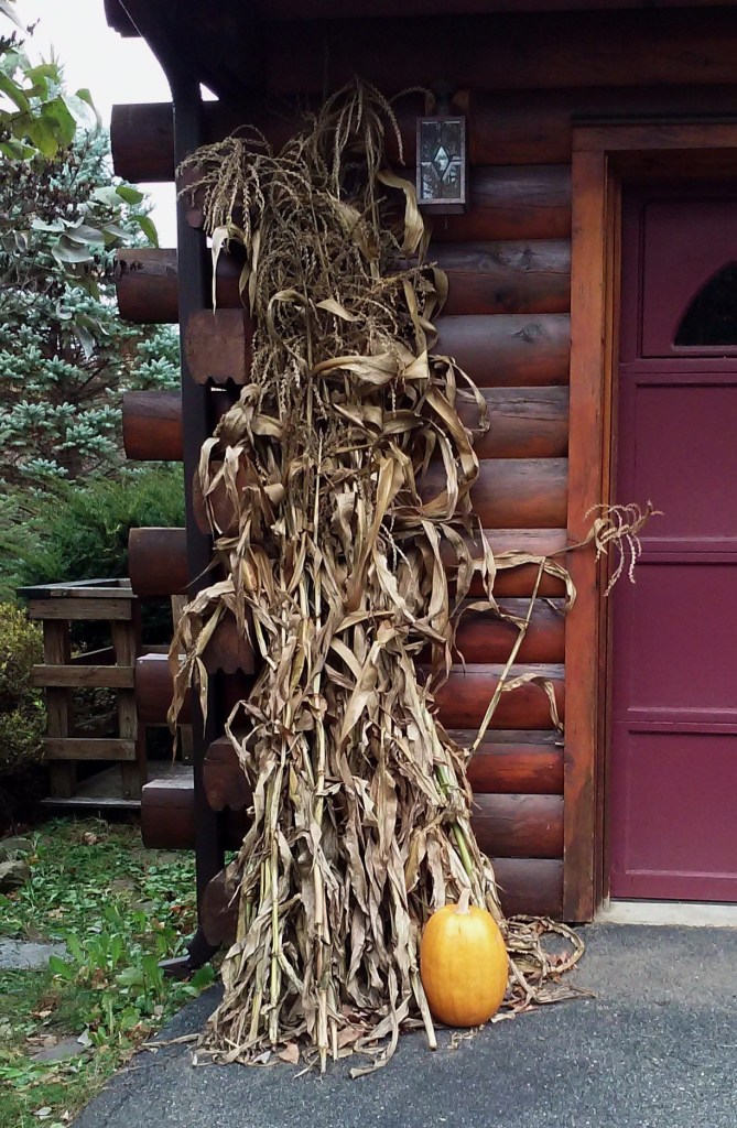 Photo credit: Jerri Higgins